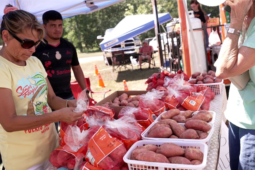 a stall selling sweet potatoes