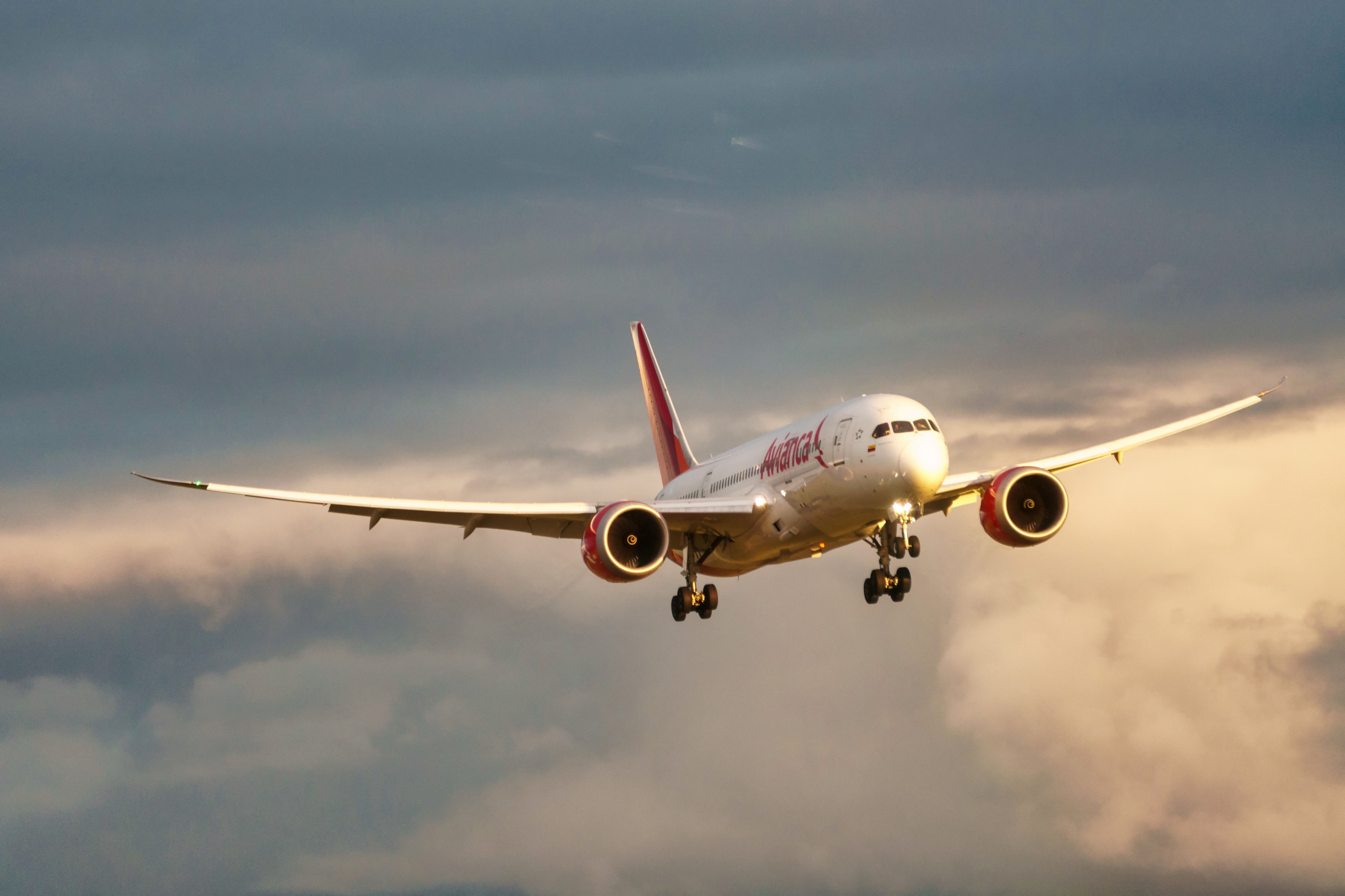 avianca Boeing 787