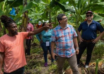 Prime Minister Gonsalves lays out true cost of Sustainable Agriculture at CWA Opening in St Vincent & the Grenadines – Magnetic Media