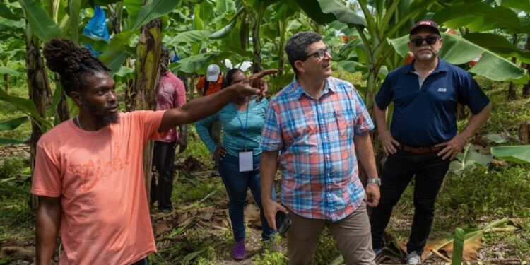 Prime Minister Gonsalves lays out true cost of Sustainable Agriculture at CWA Opening in St Vincent & the Grenadines – Magnetic Media