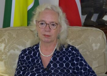 “I’d love to see UK businesses doing more in agriculture here” – British diplomat