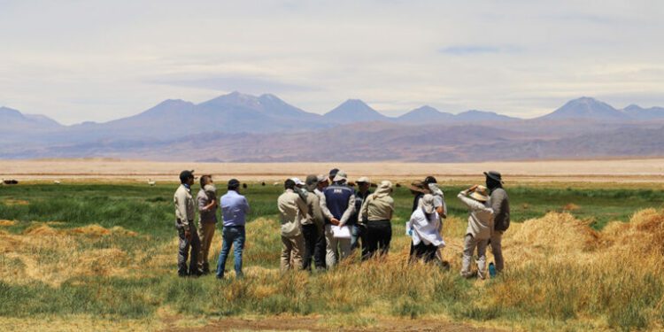 Chilean Indigenous association participates in key study for lawsuit against mining