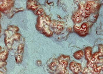 Lost Maya City, Including Pyramids, Discovered in Mexico’s Jungle