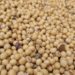 More soybeans from South America might drive prices lower