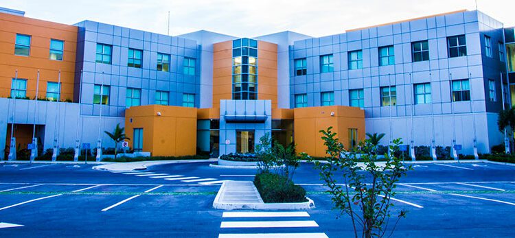 CXC to launch AI-powered literacy, numeracy system as part of digital transformation