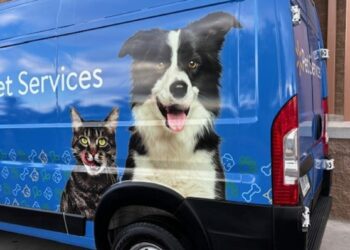 Arizona Walmarts offering new veterinary, grooming services for pets