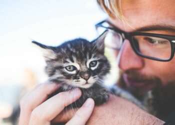 Awakening to Our Interconnectedness | Psychology Today