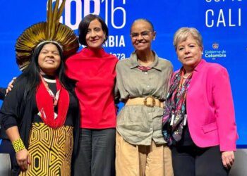 Mexico pledges major conservation expansion at COP16