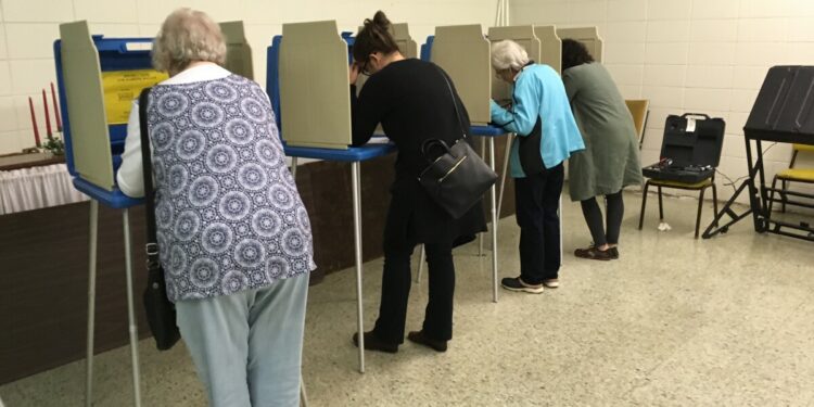 A breakdown of Arkansas' 2024 ballot initiatives