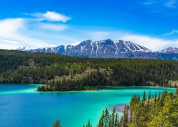 Alaska Travel Guide, News and Information