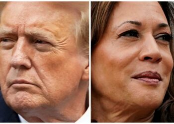 America heads for divided government