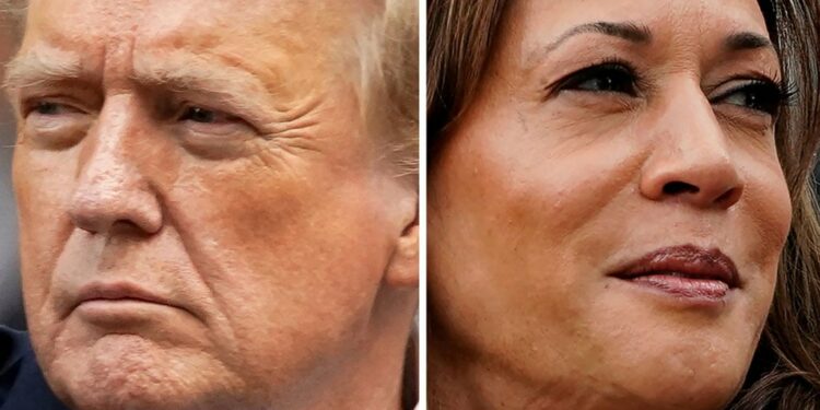 America heads for divided government