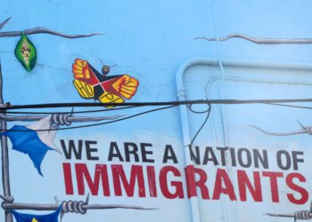 America’s Irreplaceable Immigrants