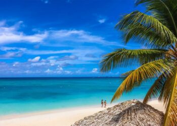 An Insider’s Secret: Where the Locals Dive in the Cayman Islands