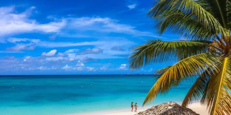 An Insider’s Secret: Where the Locals Dive in the Cayman Islands