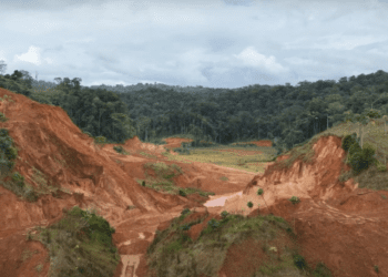 B2Gold backs Founders Metals with $8.8 million investment for drilling at Antino in Suriname