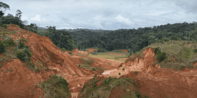 B2Gold backs Founders Metals with $8.8 million investment for drilling at Antino in Suriname