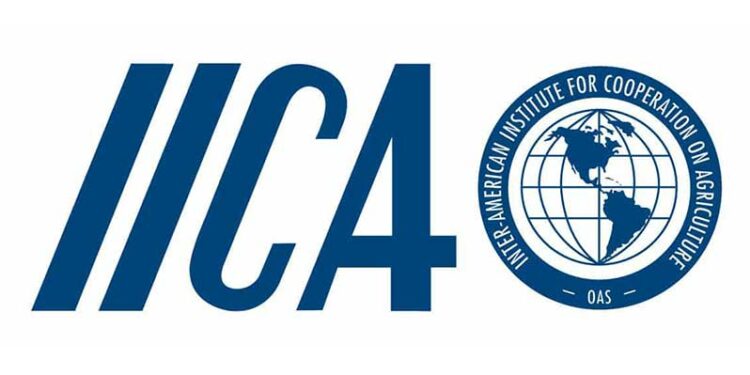 Barbados: IICA to launch new study on rural connectivity