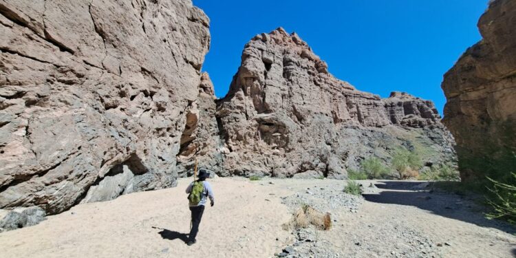 Boiling Point: California's role in the global fight to protect nature