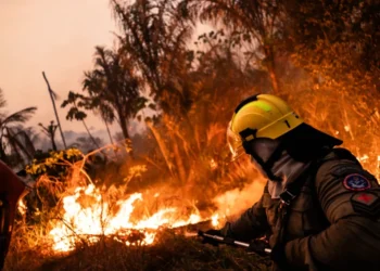 Brasil y Bolivia son las naciones más afectadas por los incendios en América Latina