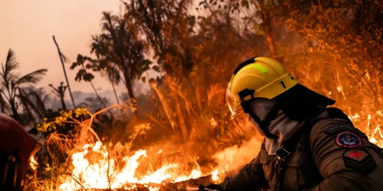 Brasil y Bolivia son las naciones más afectadas por los incendios en América Latina
