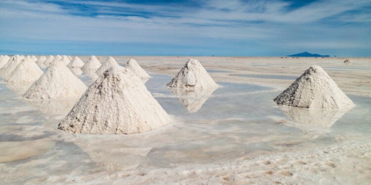 Brazil’s Critical Minerals and the Global Clean Energy Revolution