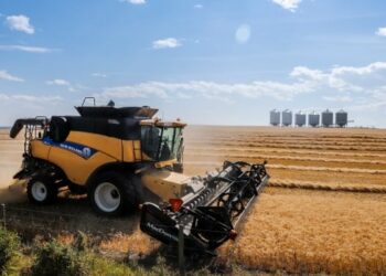 Canada on track to be world's 3rd-largest wheat exporter in '24-25 crop year