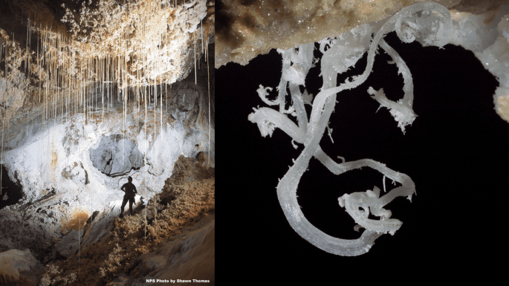 Carlsbad Caverns: New Mexico's otherworldly caves with gypsum flowers and 'soda straws' dangling from the ceiling