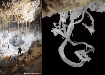 Carlsbad Caverns: New Mexico's otherworldly caves with gypsum flowers and 'soda straws' dangling from the ceiling