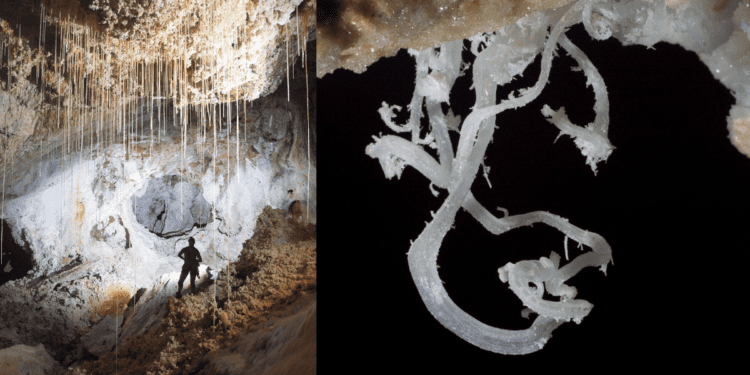 Carlsbad Caverns: New Mexico's otherworldly caves with gypsum flowers and 'soda straws' dangling from the ceiling