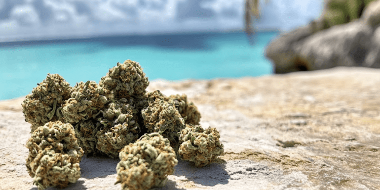 Cayman Islands Set to Vote on Marijuana Decriminalization: A Step Toward Reform?