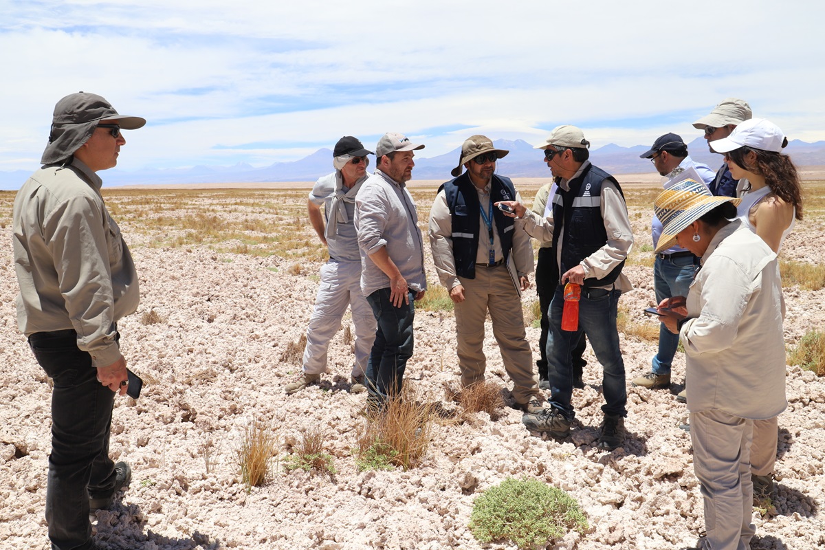 The First Environmental Court’s inspection of the Tilopozo wetlands, and the La Punta and La Brava lagoon systems, among others.