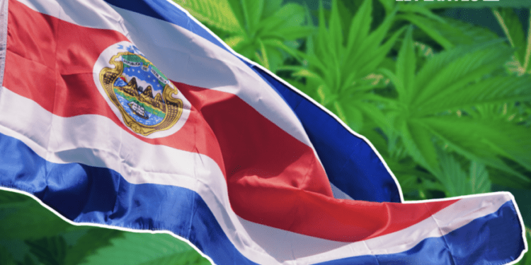 Costa Rican Pharmacies Set To Sell Cannabis In 2025: What To Expect