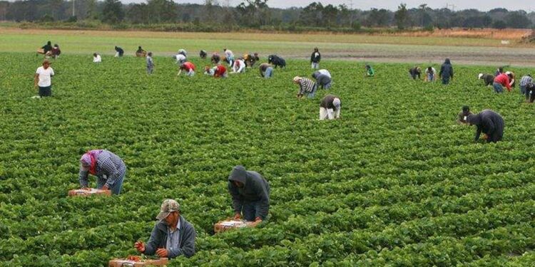 Cuba-styled price controls will hurt Floridians