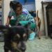 Cubans search for a better future leaving their pets behind