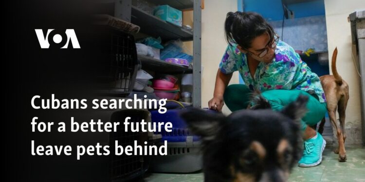 Cubans searching for a better future leave pets behind
