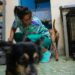 Cubans searching for a better future leave their pets behind