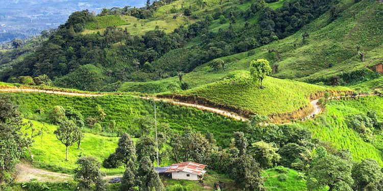 Silvercorp, Salazar to kick off Ecuador mine construction in early 2025