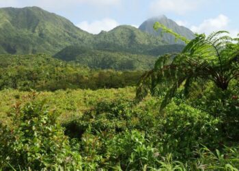 Dominica Harnesses Nature for Climate Resilience and Economic Development