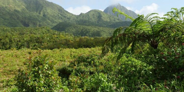 Dominica Harnesses Nature for Climate Resilience and Economic Development