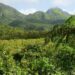 Dominica Harnesses Nature for Climate Resilience and Economic Development