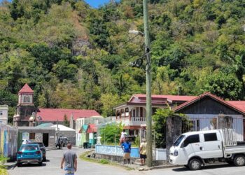 Dominica Launches Online Immigration Forms to Ease Entry