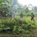 Soldiers burn a pile of uprooted coca plants during a March 2024 operation in the Ecuadorian province of Sucumbíos. Soldados queman un montón de plantas de coca arrancadas durante una operación llevada a cabo en marzo de 2024 en la provincia ecuatoriana de Sucumbíos.