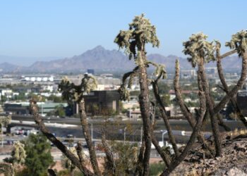 Election 2024: Why we may not know the next US president on Nov. 5