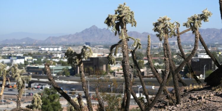 Election 2024: Why we may not know the next US president on Nov. 5