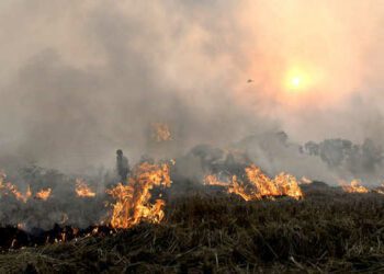 Farm fire: Don’t lower guard during festivals, officials told