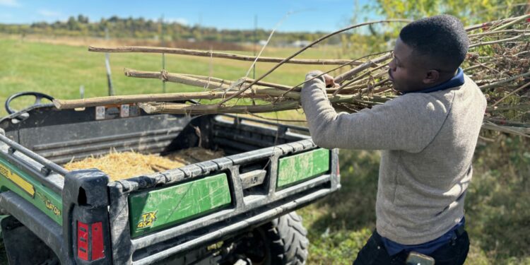 For decades, the government banned hemp. Now, it’s funding hemp research to fight climate change