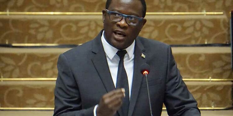 Foreign Affairs Minister clarifies misinformation in Stabroek News report