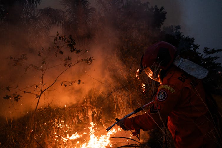 A firefighter battling a fire in a forest understorey at dusk.