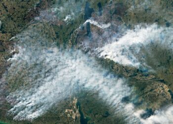 Forest fires are shifting north and intensifying – here’s what that means for the planet